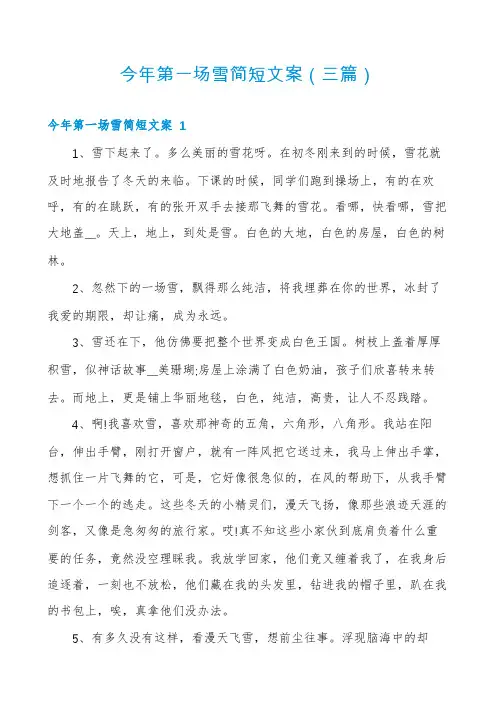 今年第一场雪简短文案(三篇)