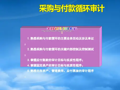 8采购与付款循环审计