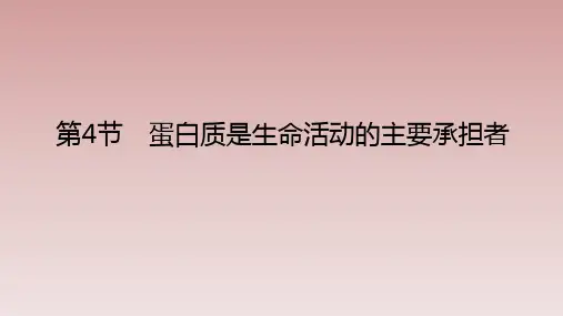 【课件】蛋白质是生命活动的主要承担者课件2022-2023学年高一上学期生物人教版必修1