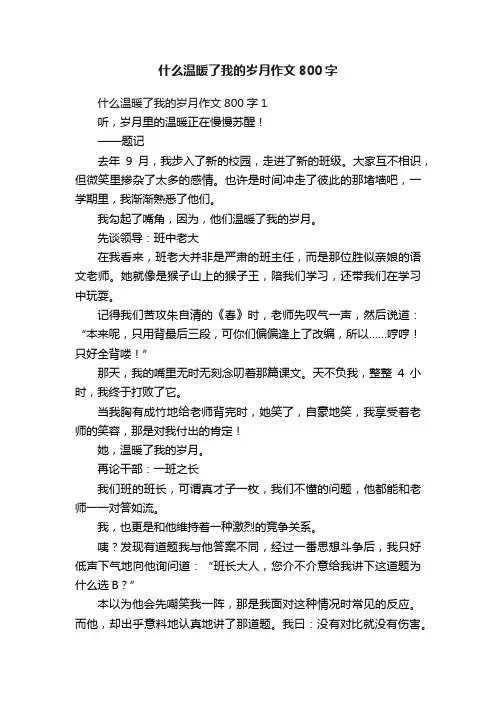 什么温暖了我的岁月作文800字