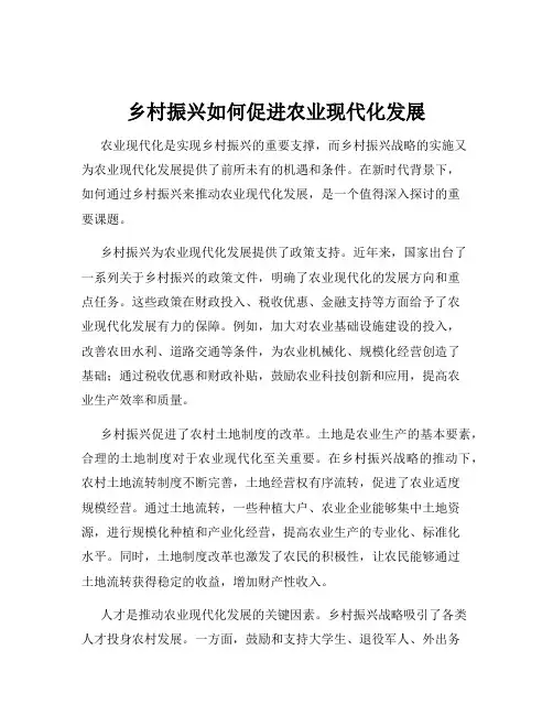 乡村振兴如何促进农业现代化发展