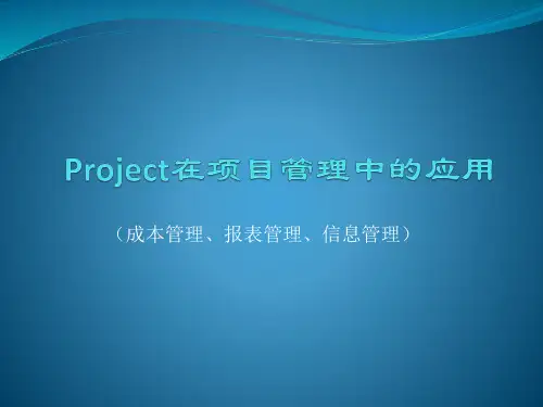 Project在项目管理中的应用
