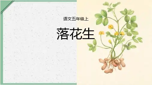 2《落花生》课件(共23张PPT)