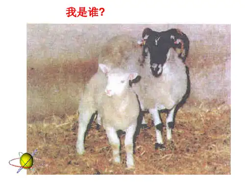 动物体细胞核移植技术