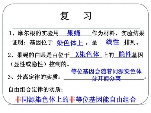 人教版教学课件第二章第三节 伴性遗传 上学期