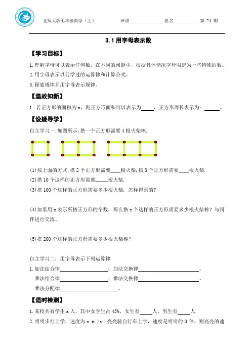 3.1用字母表示数导学案