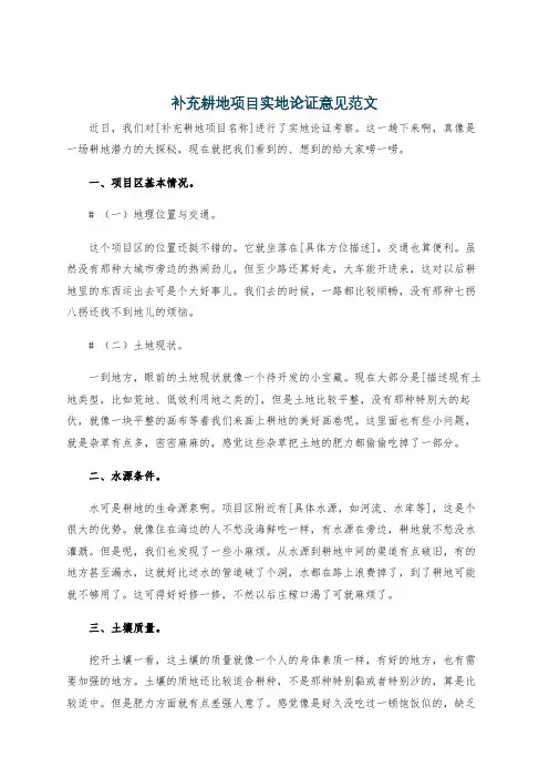 补充耕地项目实地论证意见范文