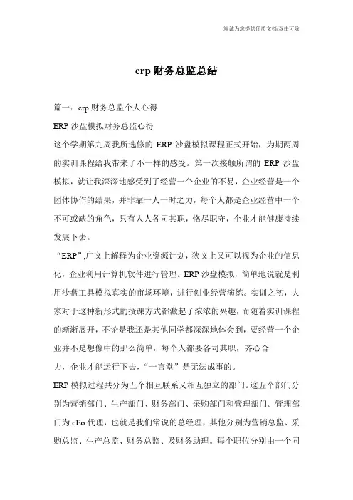 erp财务总监总结