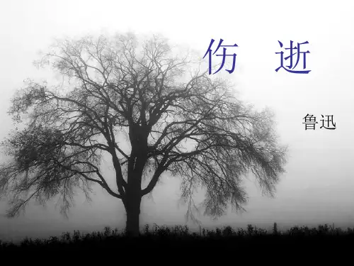 伤逝专题培训