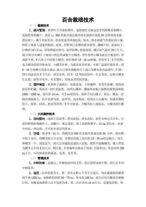 百合栽培技术
