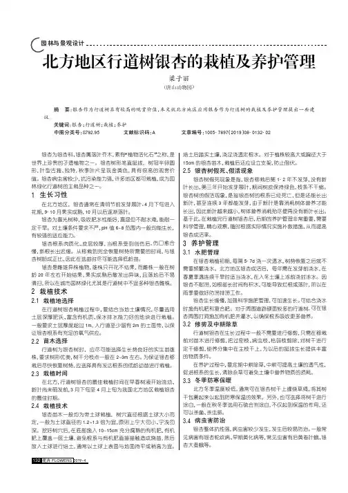 北方地区行道树银杏的栽植及养护管理