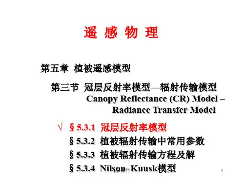 第六章 冠层反射率模型-辐射传输  ppt课件