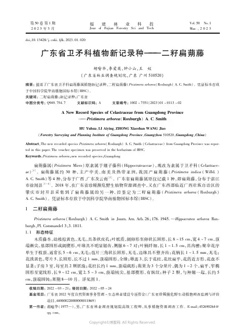 广东省卫矛科植物新记录种——二籽扁蒴藤