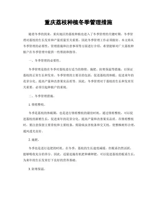 重庆荔枝种植冬季管理措施