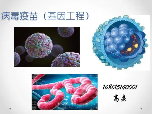 病毒疫苗(基因工程)