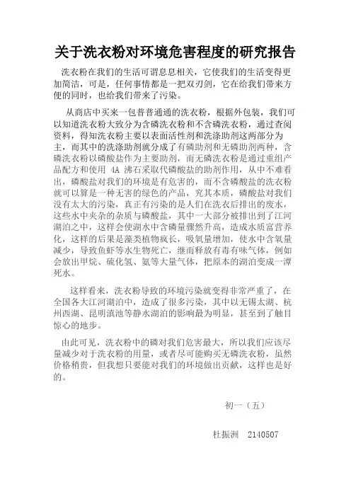 研究报告(洗衣粉)