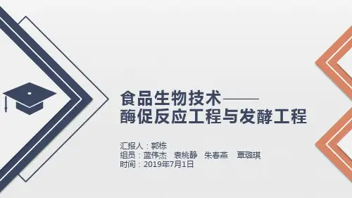 酶促反应、发酵