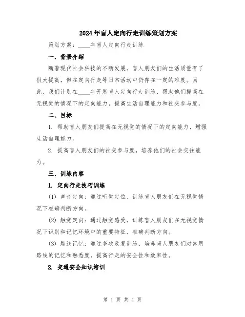 2024年盲人定向行走训练策划方案