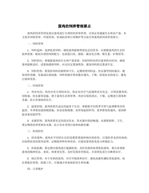 蛋鸡的饲养管理要点