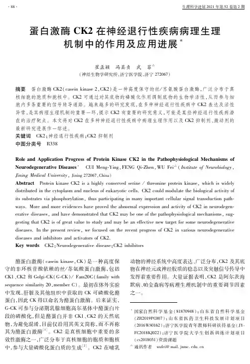 蛋白激酶CK2在神经退行性疾病病理生理机制中的作用及应用进展