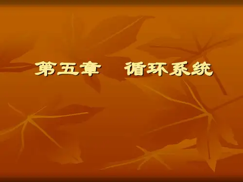 循环系统.正常影像学表现-精品医学课件