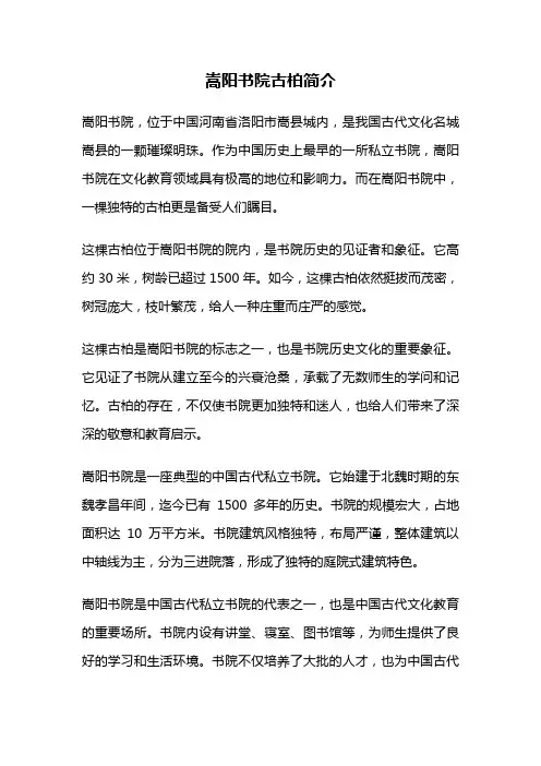 嵩阳书院古柏简介
