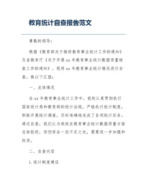 教育统计自查报告范文