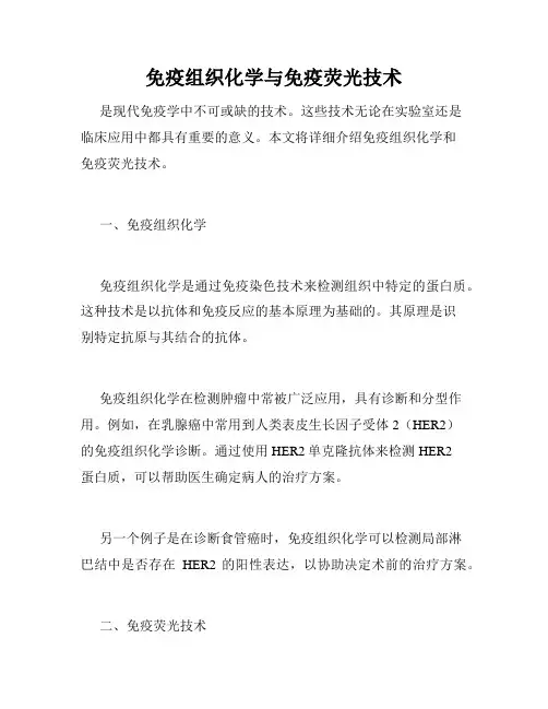免疫组织化学与免疫荧光技术