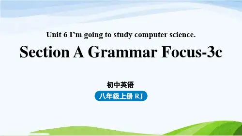 新人教八上Unit6 第二课时(SectionAGrammar Focus-3c  )