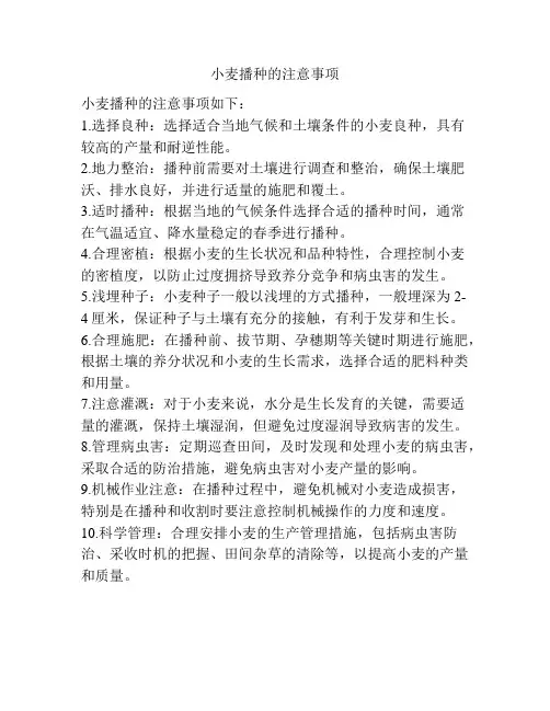 小麦播种的注意事项