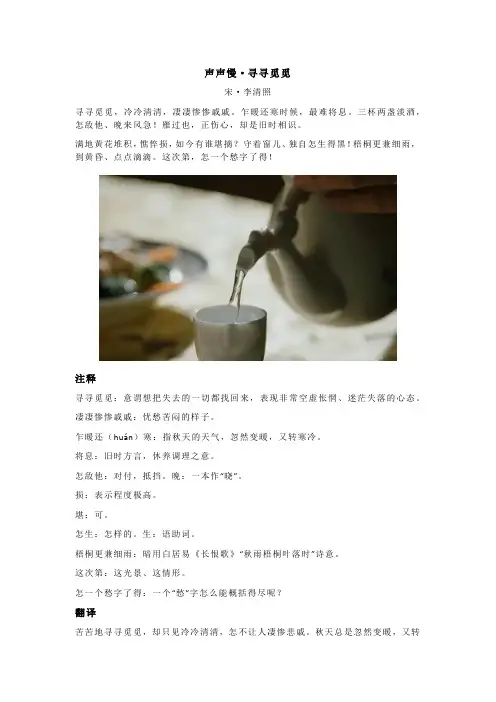 李清照《声声慢·寻寻觅觅》全诗注释翻译及赏析