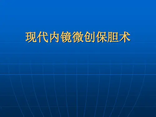 保胆取石手术ppt课件