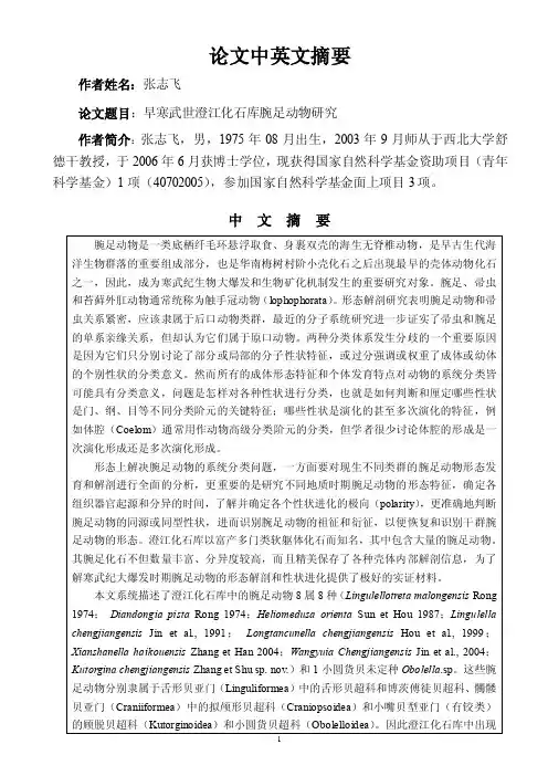 论文中英文摘要