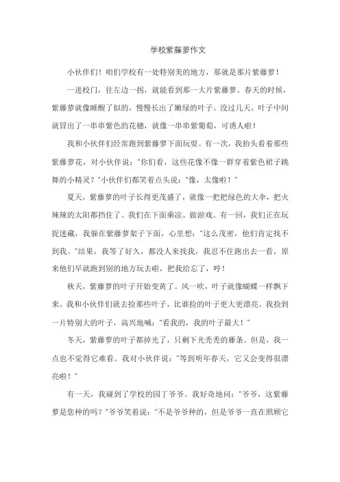 学校紫藤萝作文