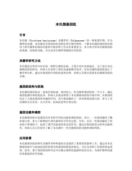 本氏烟基因组