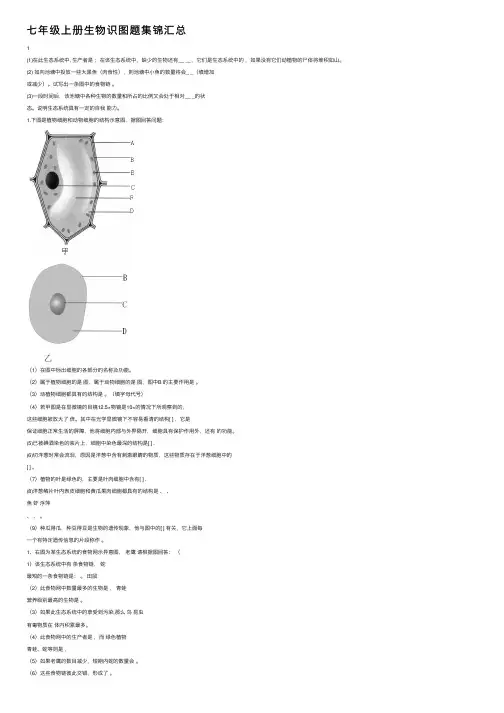 七年级上册生物识图题集锦汇总