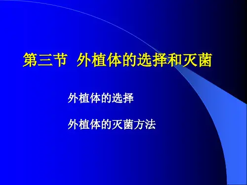 2-2外植体