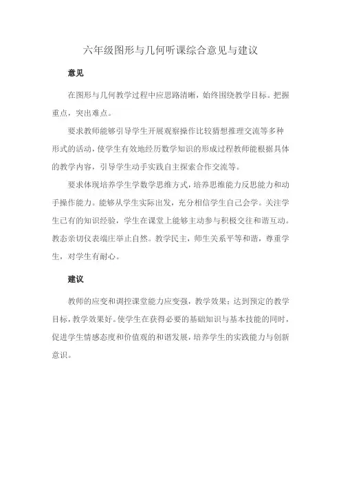 六年级图形与几何听课综合意见与建议