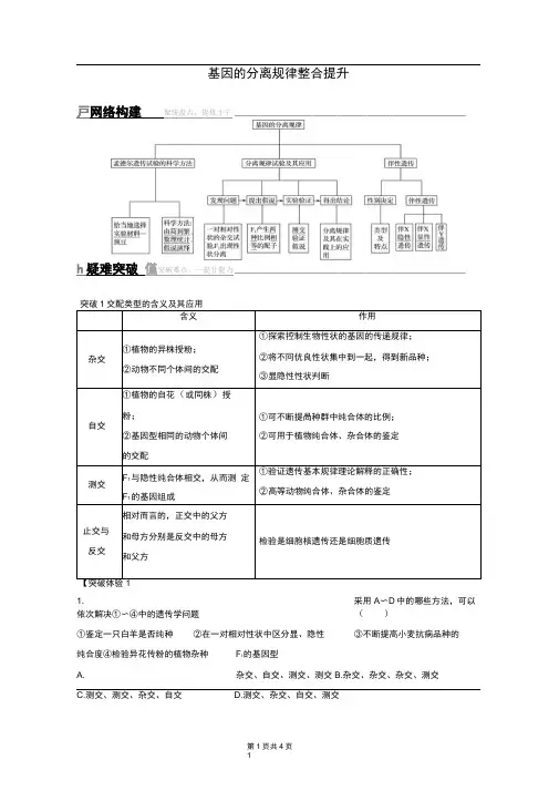 2019-2020版高中生物2.1基因的分离规律整合提升学案中图版必修2