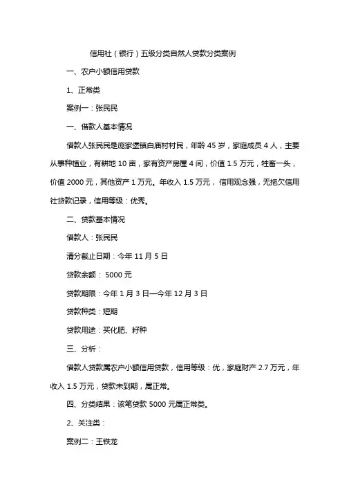 信用社银行五级分类自然人贷款分类案例