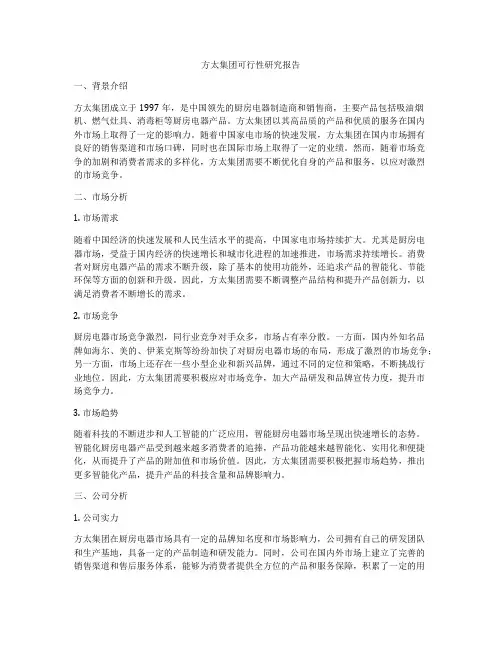 方太集团可行性研究报告
