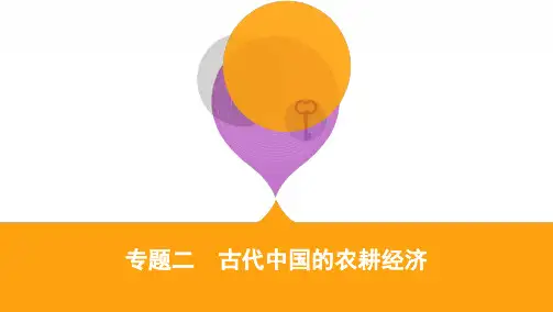 2020届高考历史山东省二轮复习课件：专题二 古代中国的农耕经济 