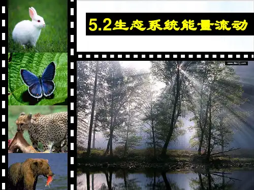 [人教版]《生态系统的能量流动》公开课课件1