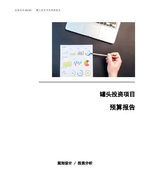 罐头投资项目预算报告 (2)