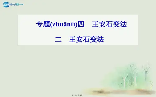 高中历史 专题四、二王安石变法课件 人民版选修1