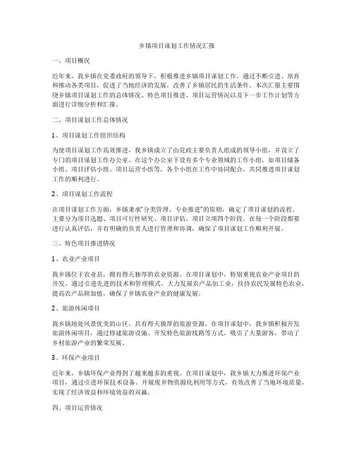 乡镇项目谋划工作情况汇报