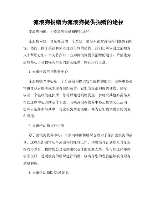 流浪狗捐赠为流浪狗提供捐赠的途径