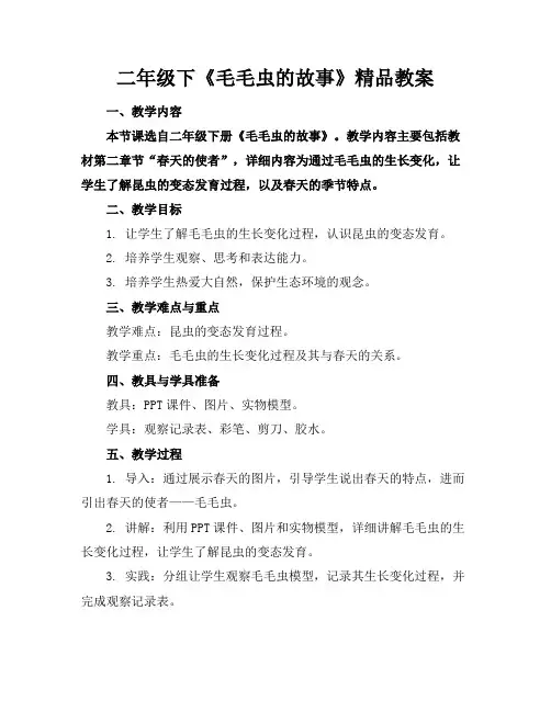 二年级下《毛毛虫的故事》精品教案