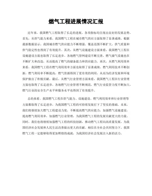 燃气工程进展情况汇报