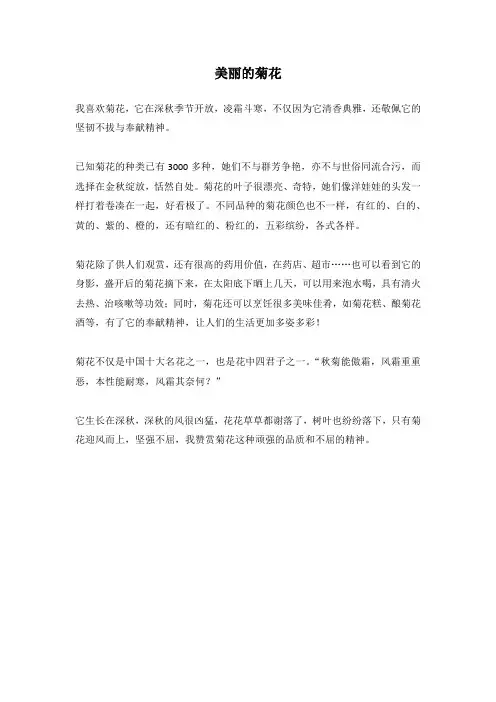 美丽的菊花400字四年级作文